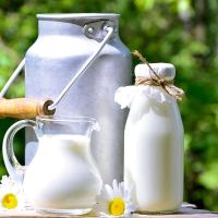 Tuyệt chiêu dùng sữa hết hạn chăm sóc khu vườn của bạn