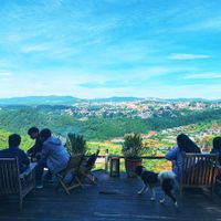 4 quán cà phê ẩn trong rừng Đà Lạt - 7