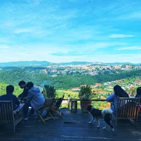4 quán cà phê ẩn trong rừng Đà Lạt - 7