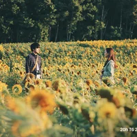 Check-in Nhật Bản qua màn ảnh cùng “Nhắm mắt thấy mùa hè” - Ảnh 2.