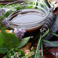 Tự làm dầu gội đầu từ thiên nhiên đơn giản tại nhà