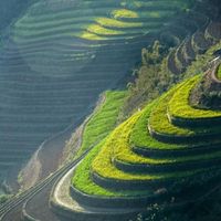 Khám phá thửa ruộng bậc thang lưng chừng giữa mây trời vùng Tây Bắc