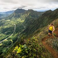 Nấc thang lên thiên đường ở Hawaii sẽ bị dỡ bỏ-3