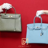 Sức hút của túi Hermès Birkin đối với giới siêu giàu