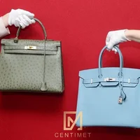 Sức hút của túi Hermès Birkin đối với giới siêu giàu