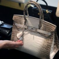 Giải mã sức hút của túi Hermès Birkin đối với giới siêu giàu: Sở hữu một chiếc túi là khoản đầu tư hấp dẫn, còn hơn cả vàng và chứng khoán - Ảnh 1.