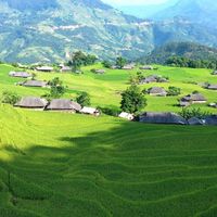 Bản giao hưởng của lúa - 6