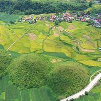 Bản giao hưởng của lúa - 7