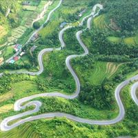 Bản giao hưởng của lúa - 8