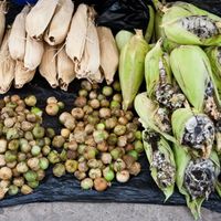Đến Mexico ăn những món độc lạ mà ngon mê ly - 4