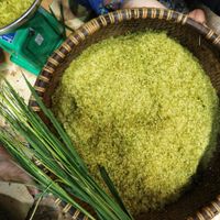 Cốm vòng - Hồn quê Hà Nội phố - 1