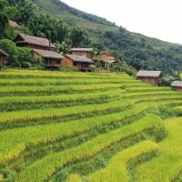 4 khu nghỉ dưỡng mang 