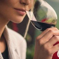 RƯỢU VANG - CHẤT XÚC TÁC CỦA SỰ THÀNH CÔNG – WinePlaza