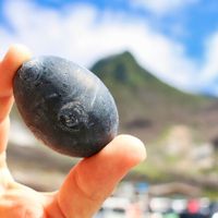 Người ta tin rằng ăn một quả trứng đen này của Nhật Bản sẽ tăng thêm 7 năm  tuổi thọ