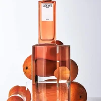 Loewe Solo