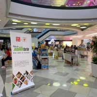 Ảnh trong bài