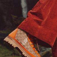 “Chương 2” của dự án hợp tác Gucci x The North Face có gì? - Ảnh 1