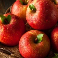 Cách chọn táo ngon giòn không xốp, cách bảo quản táo tươi lâu