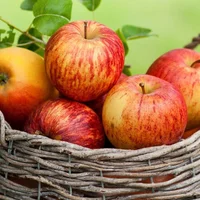 Vắt kiệt cùng trí tuệ, bạn chưa chắc đã giải được những câu đố hại não này!