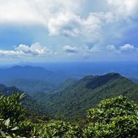 Cao nguyên Kon Hà Nừng (Gia Lai) được UNESCO công nhận là Khu dự trữ sinh  quyển thế giới | Thời Đại