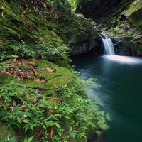 Vườn quốc gia Bạch Mã - Yes, Vietnam