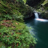 Vườn quốc gia Bạch Mã - Yes, Vietnam