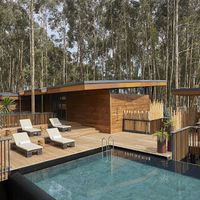 One&amp;Only Gorilla's Nest, Rwanda | Traveller Made