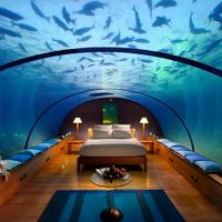 O hotel The Conrad Maldives Rangali Island tem restaurante debaixo d'água -  Instituto de Engenharia