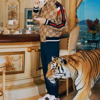 Gucic Tiger