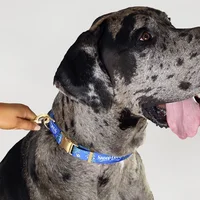Snoop Doggie Doggs