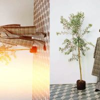 Bộ ảnh Harry Styles x Gucci HA HA HA thế giới vui tươi của nam giới
