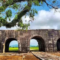 Ảnh trong bài