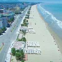 Ảnh trong bài