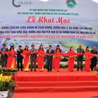 Ảnh trong bài