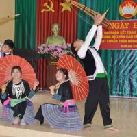 Ảnh trong bài
