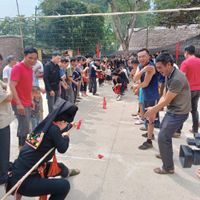 Ảnh trong bài