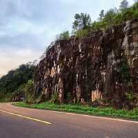 Ảnh trong bài