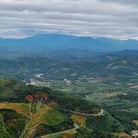 Ảnh trong bài