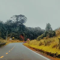 Ảnh trong bài