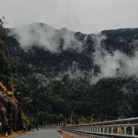 Ảnh trong bài