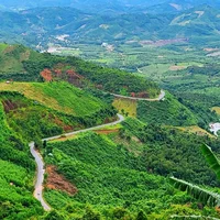 Ảnh trong bài