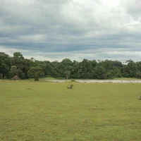 Ảnh trong bài