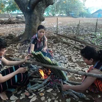 Ảnh trong bài