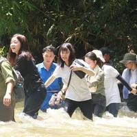 Ảnh trong bài