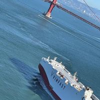 Hình ảnh tàu 999 xe VF 8 đến khu vực Vịnh San Francisco