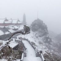 Ảnh trong bài