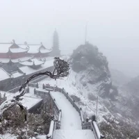 Ảnh trong bài