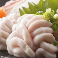 Tinh hoàn cá tuyết – món đặc sản đắt đỏ tốt cho cánh mày râu | Báo Dân trí
