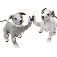 Sony Aibo