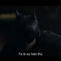 Ảnh trong bài